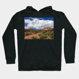 Summer Monsoon Hoodie